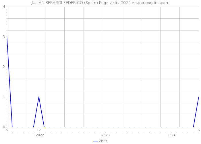 JULIAN BERARDI FEDERICO (Spain) Page visits 2024 