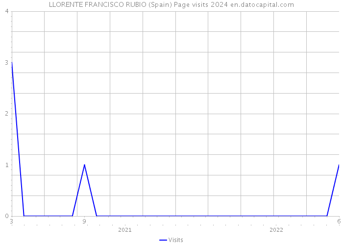 LLORENTE FRANCISCO RUBIO (Spain) Page visits 2024 