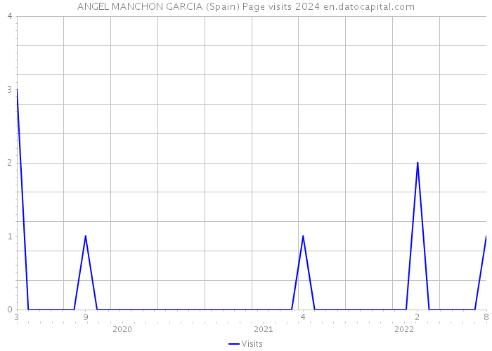 ANGEL MANCHON GARCIA (Spain) Page visits 2024 