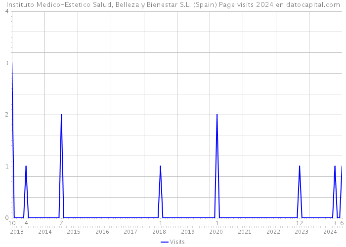 Instituto Medico-Estetico Salud, Belleza y Bienestar S.L. (Spain) Page visits 2024 