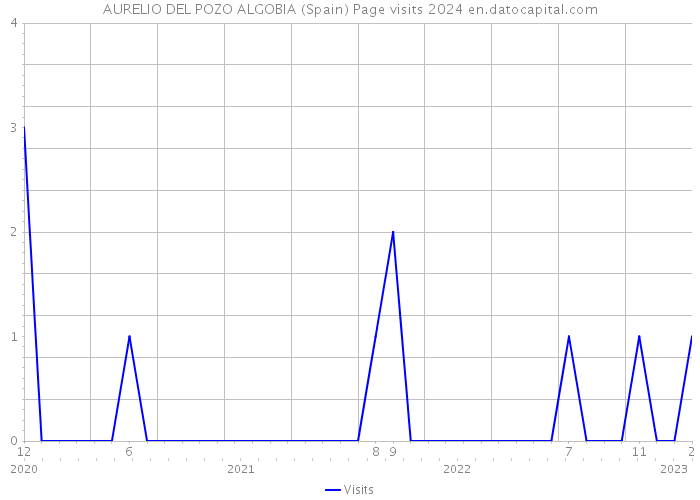 AURELIO DEL POZO ALGOBIA (Spain) Page visits 2024 