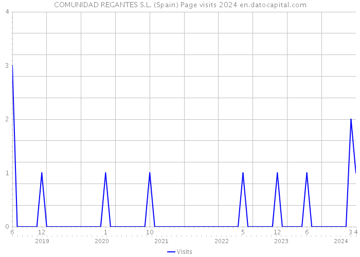 COMUNIDAD REGANTES S.L. (Spain) Page visits 2024 