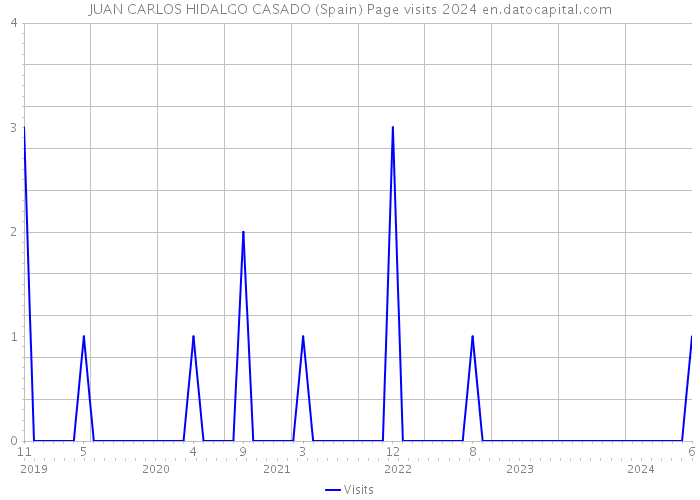 JUAN CARLOS HIDALGO CASADO (Spain) Page visits 2024 