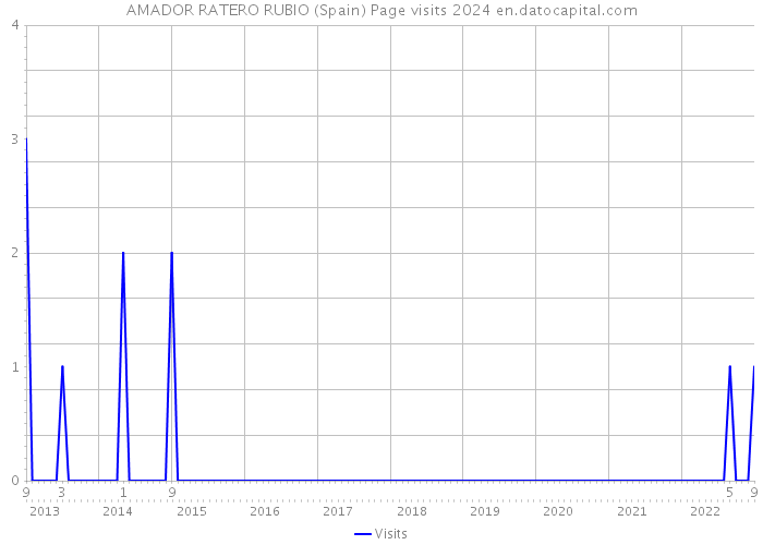 AMADOR RATERO RUBIO (Spain) Page visits 2024 