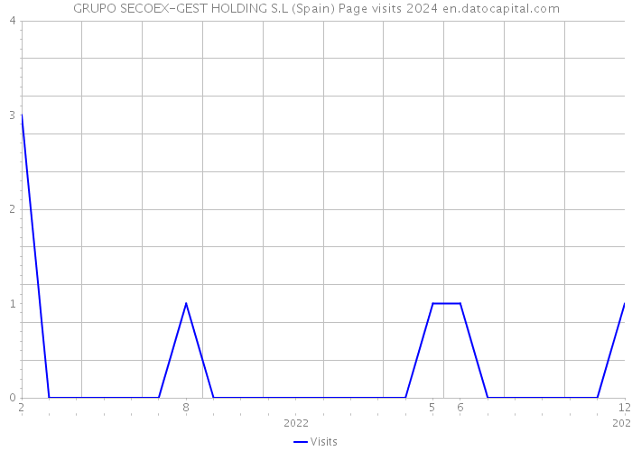 GRUPO SECOEX-GEST HOLDING S.L (Spain) Page visits 2024 