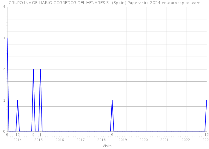 GRUPO INMOBILIARIO CORREDOR DEL HENARES SL (Spain) Page visits 2024 