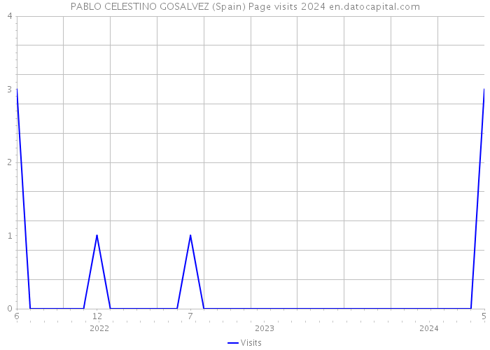 PABLO CELESTINO GOSALVEZ (Spain) Page visits 2024 