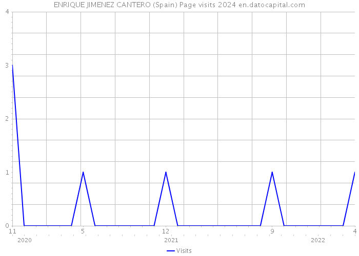 ENRIQUE JIMENEZ CANTERO (Spain) Page visits 2024 