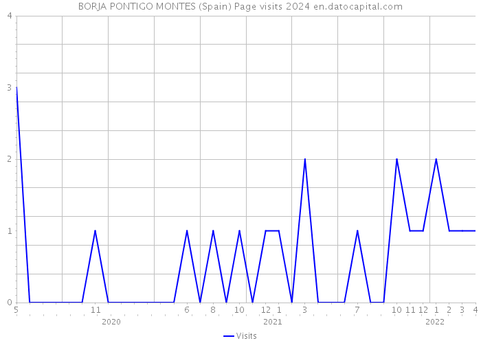 BORJA PONTIGO MONTES (Spain) Page visits 2024 