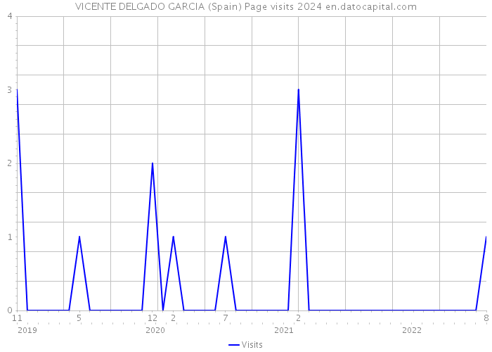 VICENTE DELGADO GARCIA (Spain) Page visits 2024 