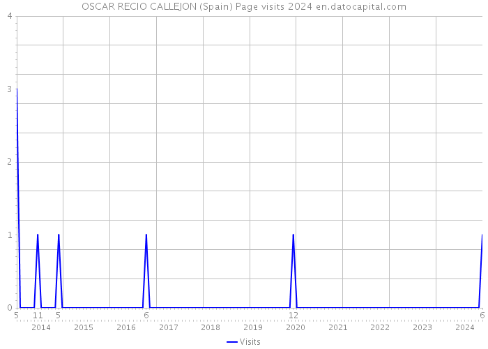 OSCAR RECIO CALLEJON (Spain) Page visits 2024 