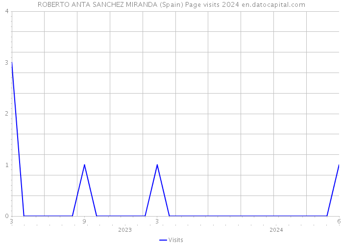 ROBERTO ANTA SANCHEZ MIRANDA (Spain) Page visits 2024 