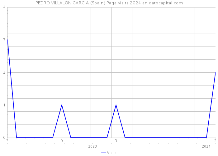 PEDRO VILLALON GARCIA (Spain) Page visits 2024 