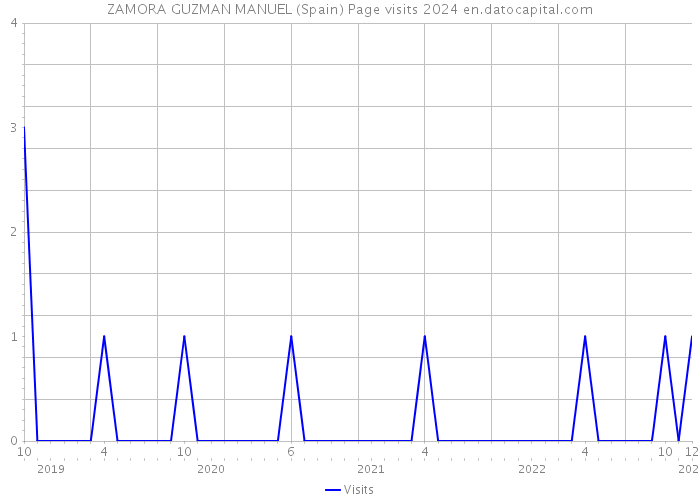 ZAMORA GUZMAN MANUEL (Spain) Page visits 2024 