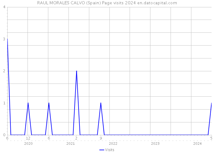 RAUL MORALES CALVO (Spain) Page visits 2024 