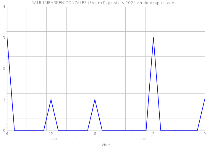 RAUL IRIBARREN GONZALEZ (Spain) Page visits 2024 