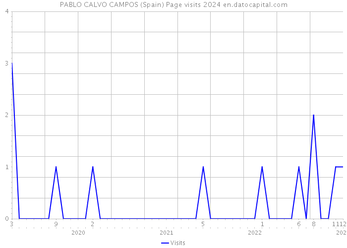 PABLO CALVO CAMPOS (Spain) Page visits 2024 