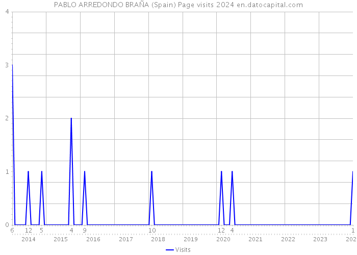 PABLO ARREDONDO BRAÑA (Spain) Page visits 2024 
