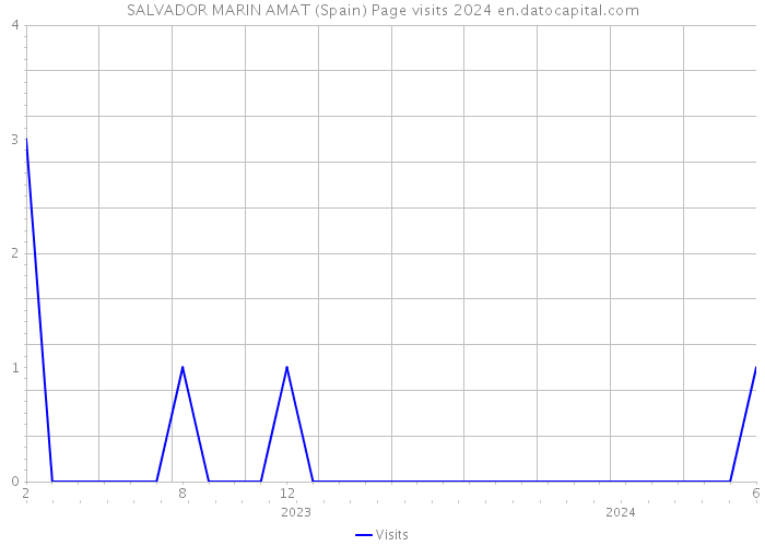 SALVADOR MARIN AMAT (Spain) Page visits 2024 