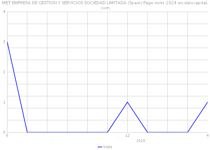 MET EMPRESA DE GESTION Y SERVICIOS SOCIEDAD LIMITADA (Spain) Page visits 2024 