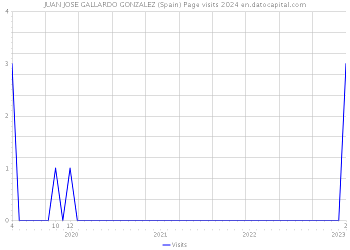 JUAN JOSE GALLARDO GONZALEZ (Spain) Page visits 2024 