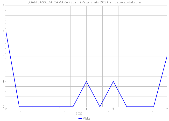 JOAN BASSEDA CAMARA (Spain) Page visits 2024 