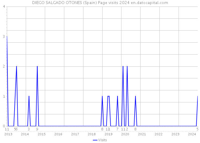 DIEGO SALGADO OTONES (Spain) Page visits 2024 