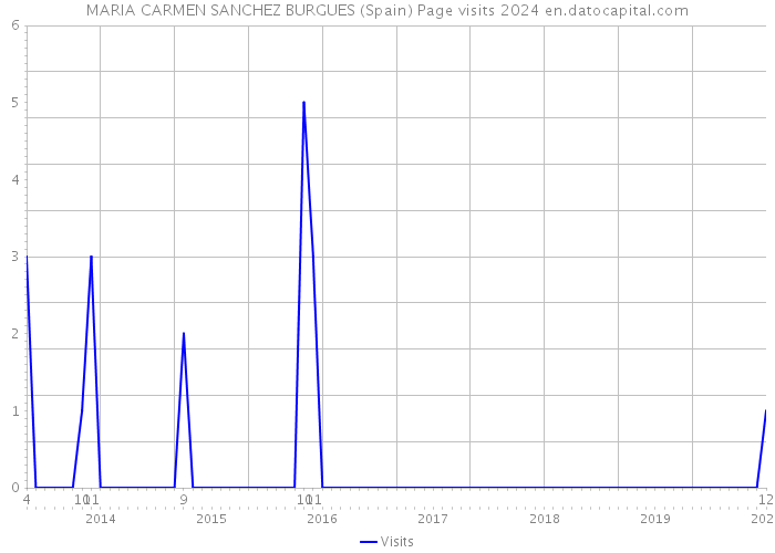MARIA CARMEN SANCHEZ BURGUES (Spain) Page visits 2024 