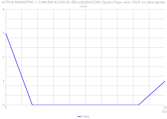 ACTIVA MARKETING Y COMUNICACION SA (EN LIQUIDACION) (Spain) Page visits 2024 