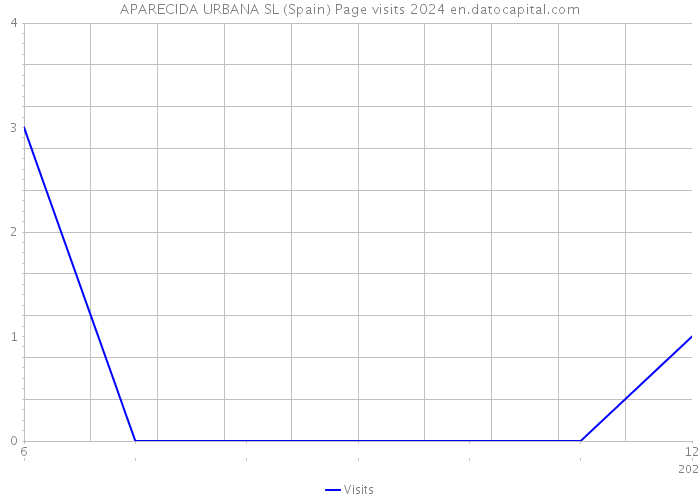 APARECIDA URBANA SL (Spain) Page visits 2024 