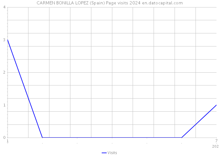 CARMEN BONILLA LOPEZ (Spain) Page visits 2024 
