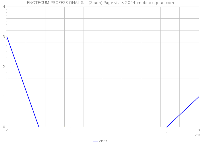 ENOTECUM PROFESSIONAL S.L. (Spain) Page visits 2024 