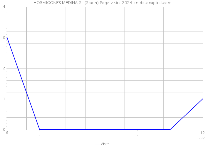 HORMIGONES MEDINA SL (Spain) Page visits 2024 