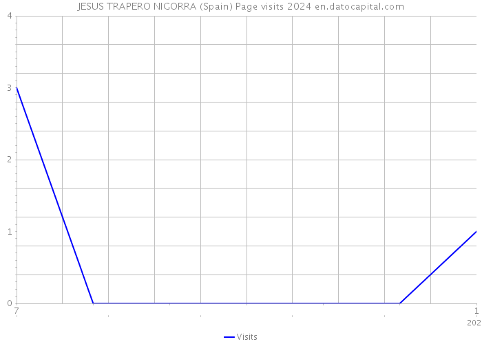 JESUS TRAPERO NIGORRA (Spain) Page visits 2024 