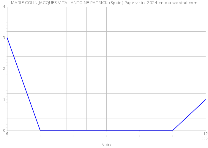 MARIE COLIN JACQUES VITAL ANTOINE PATRICK (Spain) Page visits 2024 