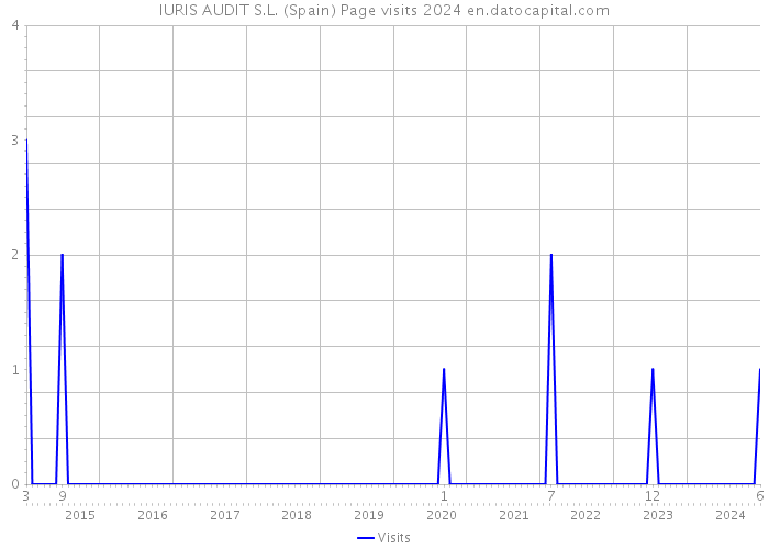 IURIS AUDIT S.L. (Spain) Page visits 2024 