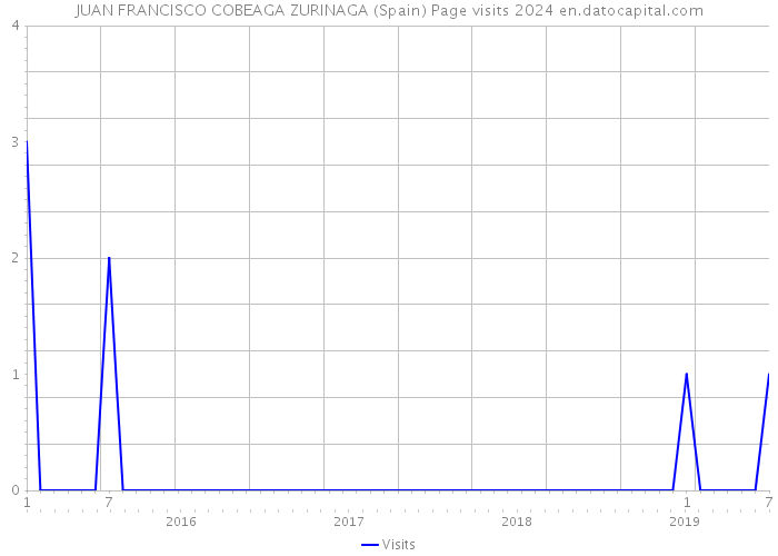 JUAN FRANCISCO COBEAGA ZURINAGA (Spain) Page visits 2024 