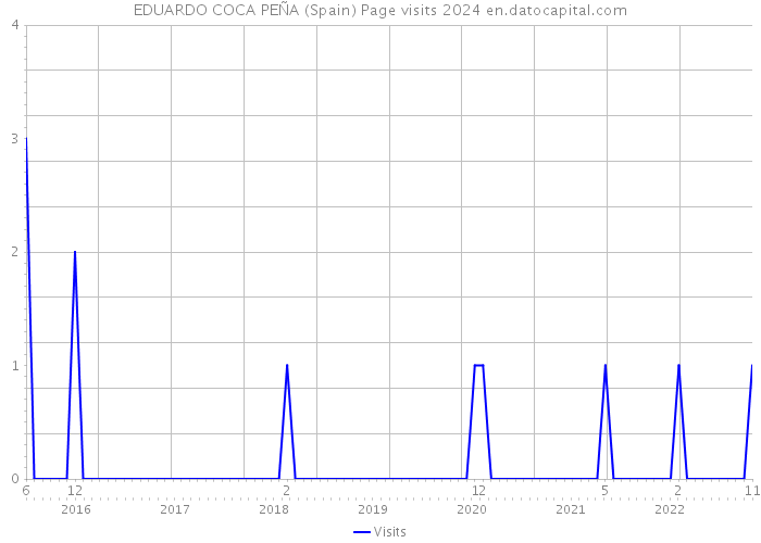 EDUARDO COCA PEÑA (Spain) Page visits 2024 
