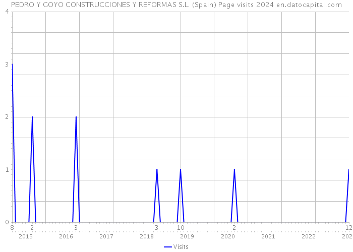 PEDRO Y GOYO CONSTRUCCIONES Y REFORMAS S.L. (Spain) Page visits 2024 