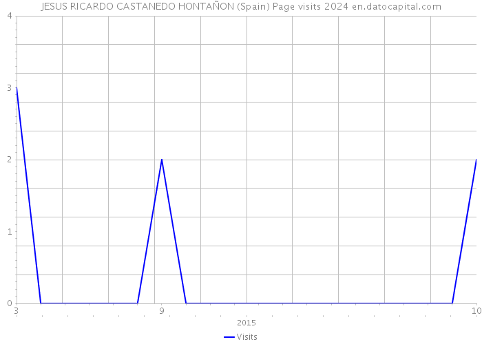 JESUS RICARDO CASTANEDO HONTAÑON (Spain) Page visits 2024 