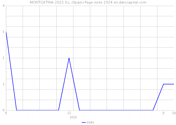 MONTGATINA 2022 S.L. (Spain) Page visits 2024 