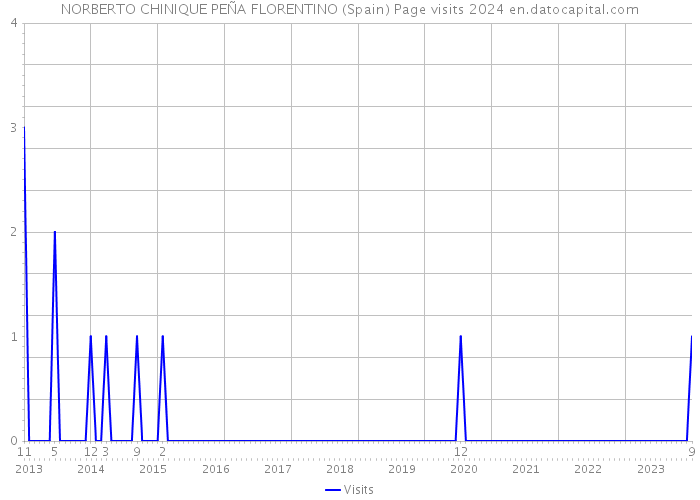 NORBERTO CHINIQUE PEÑA FLORENTINO (Spain) Page visits 2024 