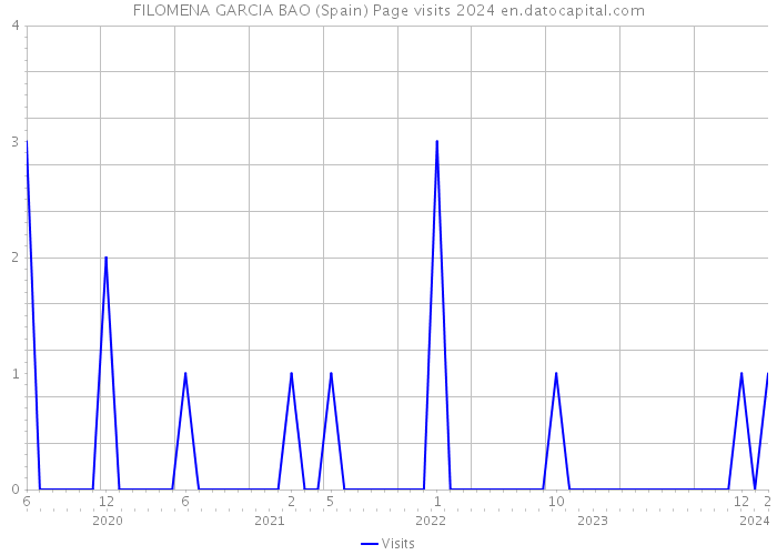 FILOMENA GARCIA BAO (Spain) Page visits 2024 