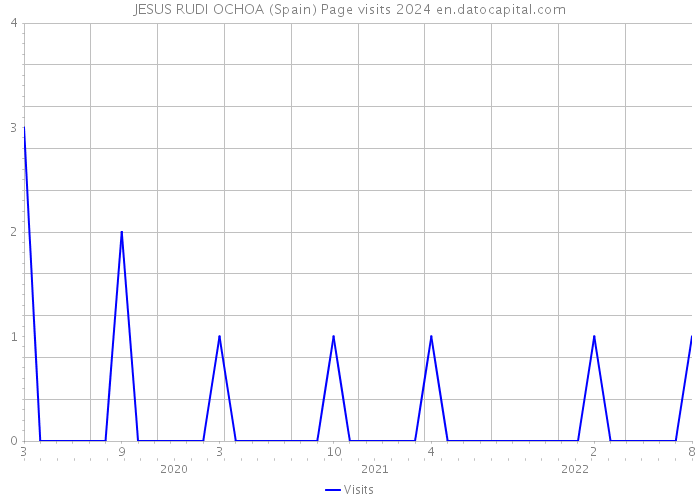 JESUS RUDI OCHOA (Spain) Page visits 2024 