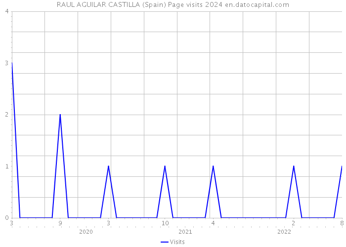 RAUL AGUILAR CASTILLA (Spain) Page visits 2024 