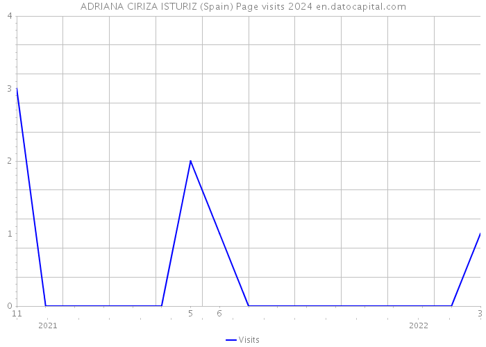 ADRIANA CIRIZA ISTURIZ (Spain) Page visits 2024 
