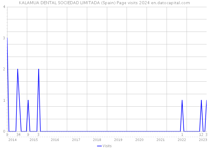KALAMUA DENTAL SOCIEDAD LIMITADA (Spain) Page visits 2024 