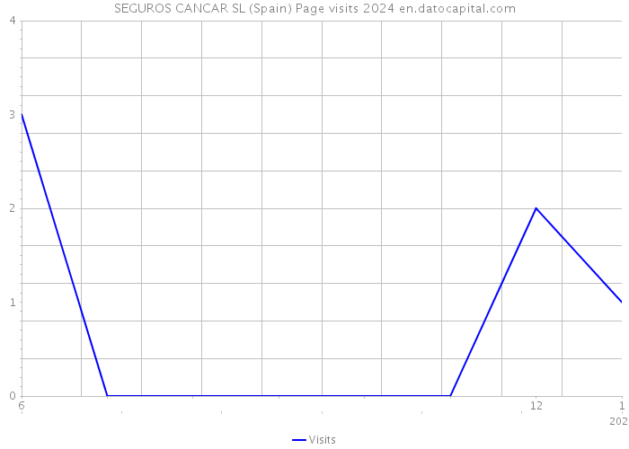 SEGUROS CANCAR SL (Spain) Page visits 2024 