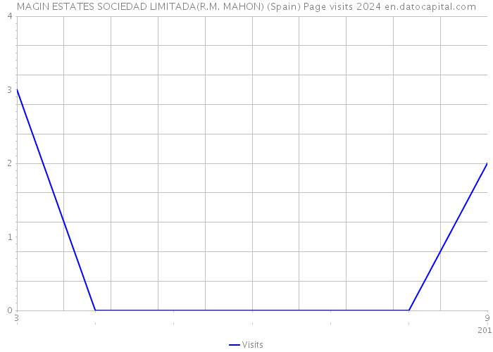 MAGIN ESTATES SOCIEDAD LIMITADA(R.M. MAHON) (Spain) Page visits 2024 