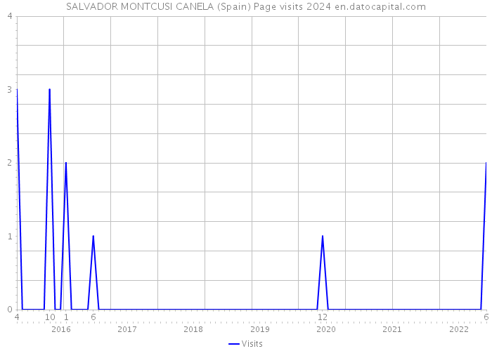 SALVADOR MONTCUSI CANELA (Spain) Page visits 2024 